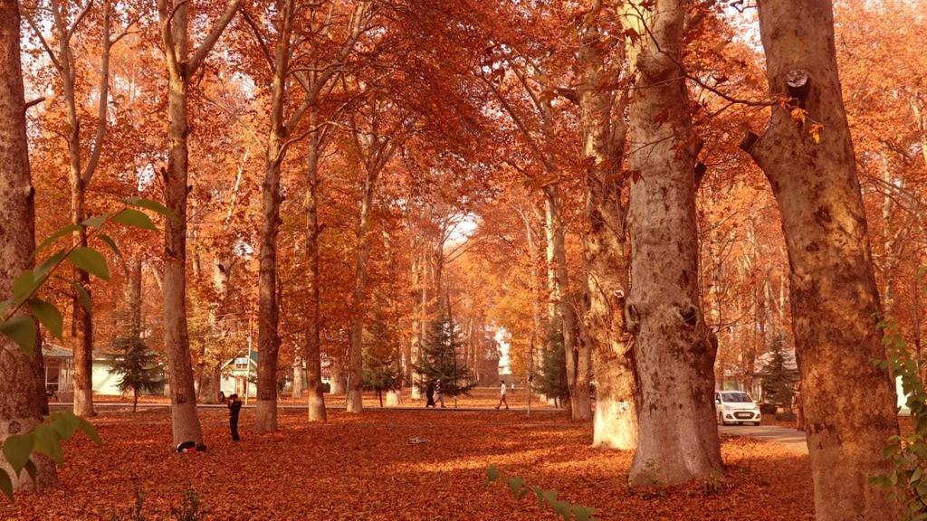 kashmir autumn packages - Countryside Kashmir