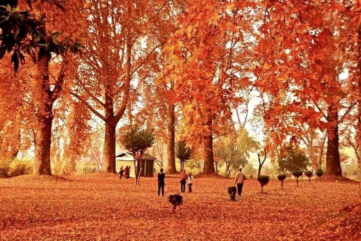 kashmir autumn packages - Countryside Kashmir
