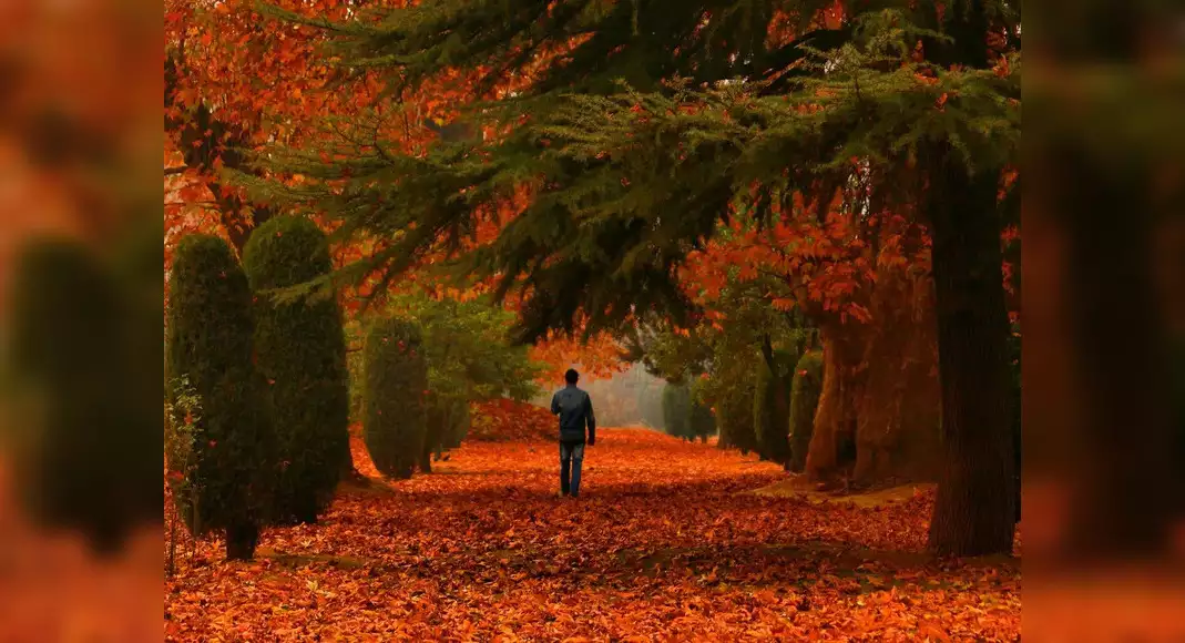 kashmir autumn packages - Countryside Kashmir