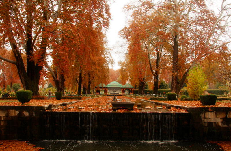 Shalimar Bagh - Countryside Kashmir