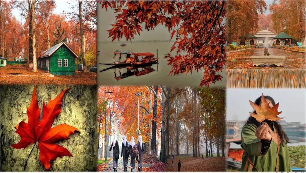 kashmir autumn packages - Countryside Kashmir