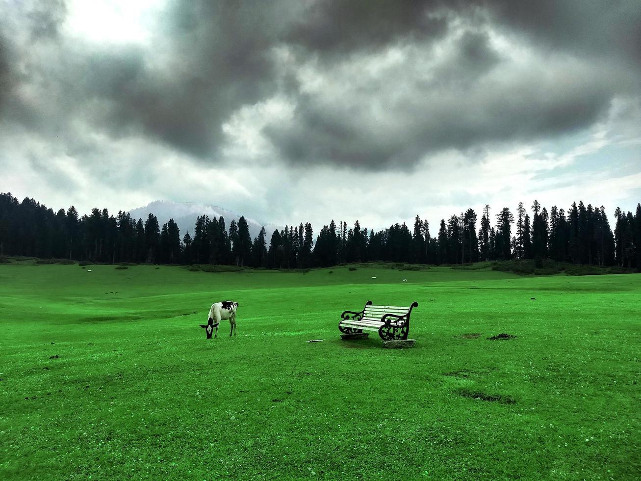 Doodhpathri - Countryside Kashmir