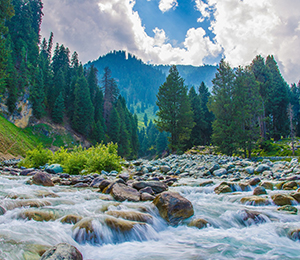 Doodhpathri - Countryside Kashmir