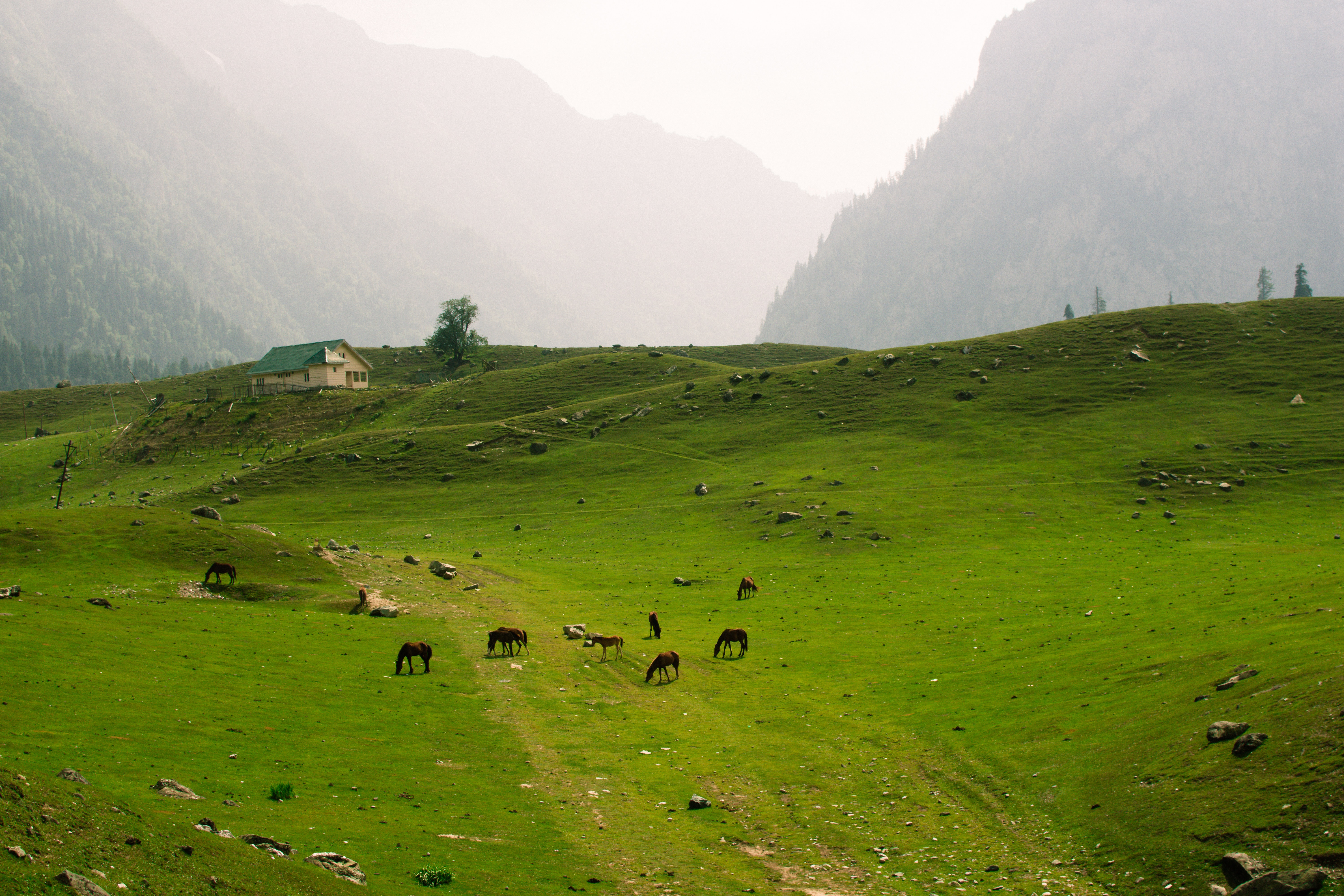 kashmir tour packages - Countryside Kashmir